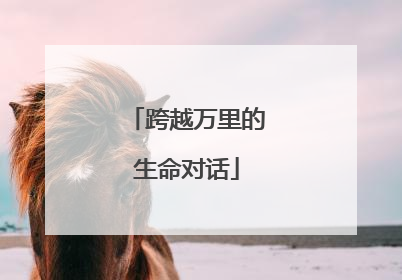 跨越万里的生命对话