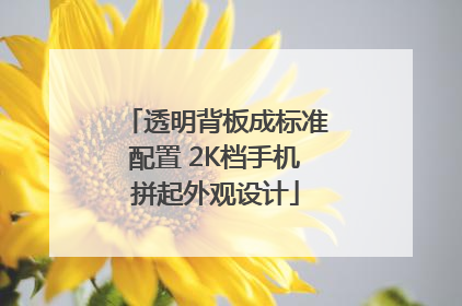透明背板成标准配置 2K档手机拼起外观设计