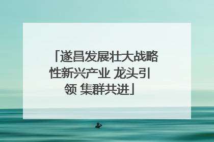 遂昌发展壮大战略性新兴产业 龙头引领 集群共进