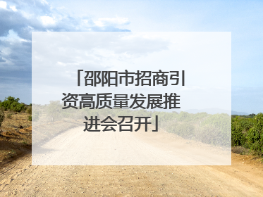 邵阳市招商引资高质量发展推进会召开