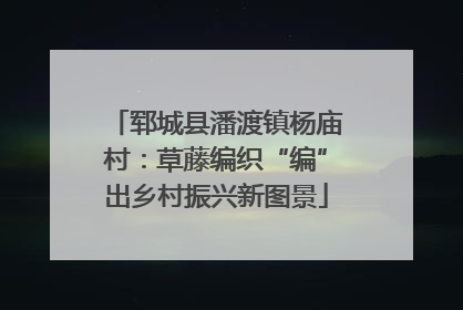 郓城县潘渡镇杨庙村：草藤编织“编”出乡村振兴新图景