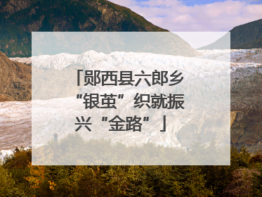 郧西县六郎乡“银茧”织就振兴“金路”