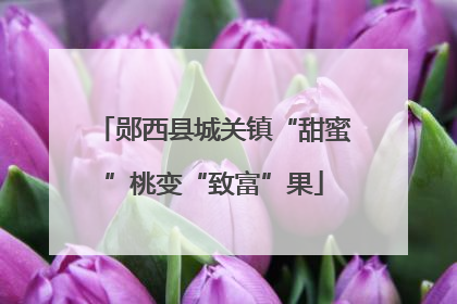 郧西县城关镇“甜蜜”桃变“致富”果