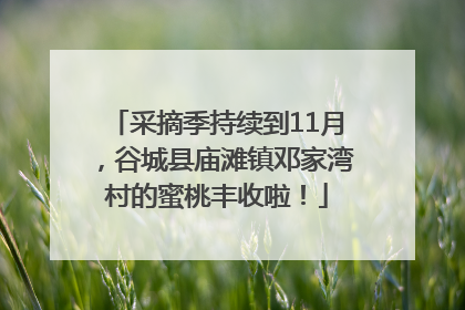 采摘季持续到11月，谷城县庙滩镇邓家湾村的蜜桃丰收啦！