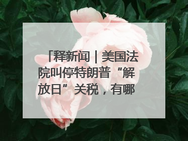 释新闻｜美国法院叫停特朗普“解放日”关税，有哪些看点？