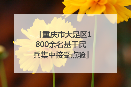 重庆市大足区1800余名基干民兵集中接受点验