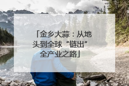 金乡大蒜：从地头到全球“链出”全产业之路