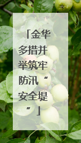 金华多措并举筑牢防汛“安全堤”
