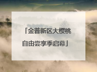 金普新区大樱桃自由尝享季启幕