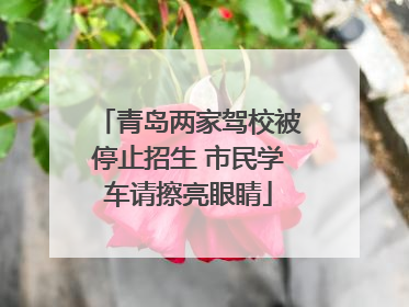 青岛两家驾校被停止招生 市民学车请擦亮眼睛