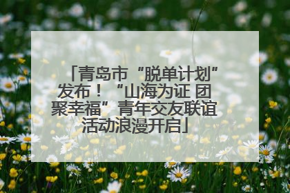 青岛市“脱单计划”发布！“山海为证 团聚幸福”青年交友联谊活动浪漫开启