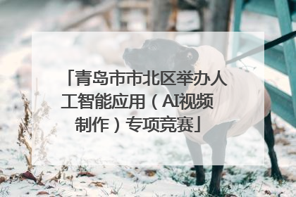 青岛市市北区举办人工智能应用（AI视频制作）专项竞赛