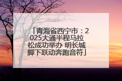 青海省西宁市：2025大通半程马拉松成功举办 明长城脚下跃动奔跑音符