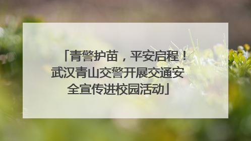 青警护苗，平安启程！武汉青山交警开展交通安全宣传进校园活动