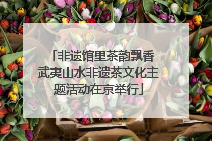 非遗馆里茶韵飘香 武夷山水非遗茶文化主题活动在京举行