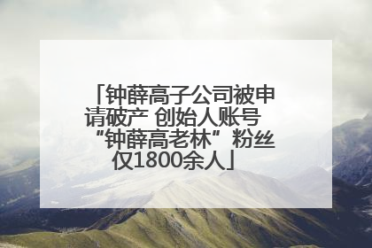 钟薛高子公司被申请破产 创始人账号“钟薛高老林”粉丝仅1800余人