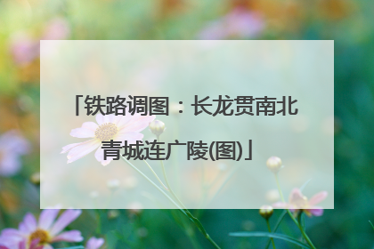 铁路调图：长龙贯南北 青城连广陵(图)