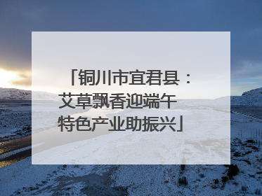铜川市宜君县：艾草飘香迎端午 特色产业助振兴