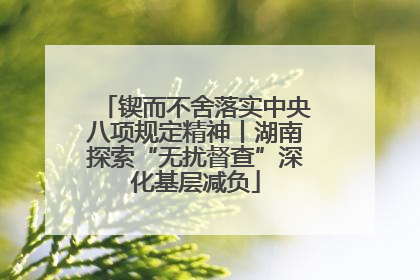 锲而不舍落实中央八项规定精神丨湖南探索“无扰督查”深化基层减负