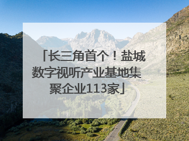 长三角首个！盐城数字视听产业基地集聚企业113家