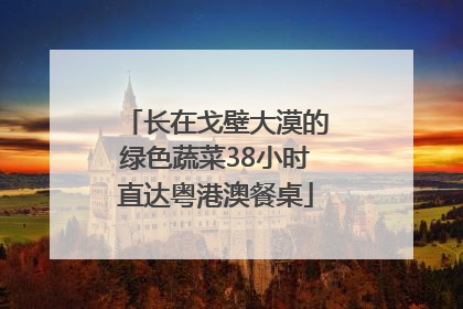 长在戈壁大漠的绿色蔬菜38小时直达粤港澳餐桌