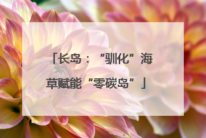 长岛：“驯化”海草赋能“零碳岛”