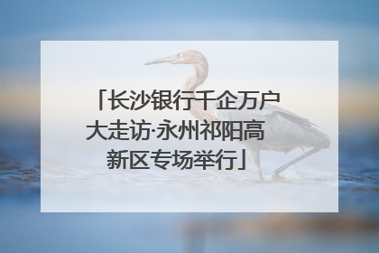 长沙银行千企万户大走访·永州祁阳高新区专场举行
