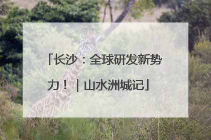 长沙：全球研发新势力！｜山水洲城记