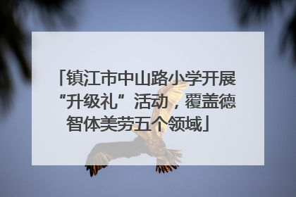 镇江市中山路小学开展“升级礼”活动，覆盖德智体美劳五个领域