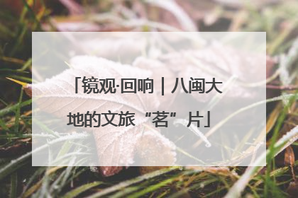 镜观·回响｜八闽大地的文旅“茗”片