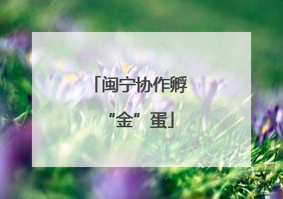 闽宁协作孵“金”蛋