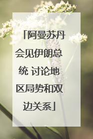 阿曼苏丹会见伊朗总统 讨论地区局势和双边关系