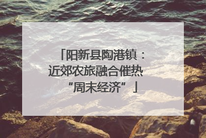 阳新县陶港镇：近郊农旅融合催热“周末经济”
