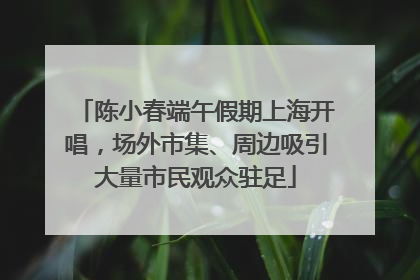 陈小春端午假期上海开唱，场外市集、周边吸引大量市民观众驻足