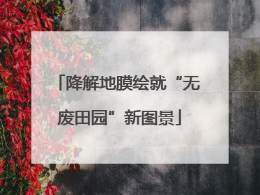 降解地膜绘就“无废田园”新图景