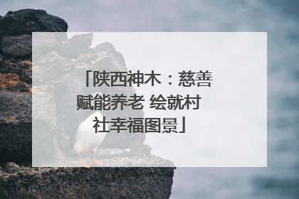 陕西神木：慈善赋能养老 绘就村社幸福图景