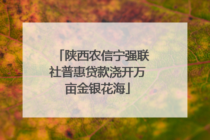陕西农信宁强联社普惠贷款浇开万亩金银花海