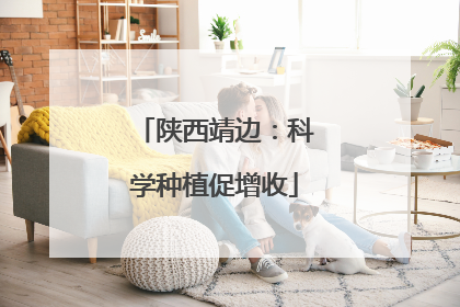 陕西靖边：科学种植促增收