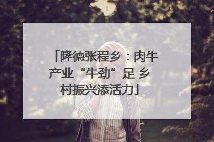 隆德张程乡：肉牛产业“牛劲”足 乡村振兴添活力