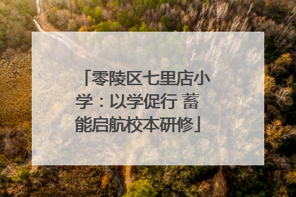 零陵区七里店小学：以学促行 蓄能启航校本研修