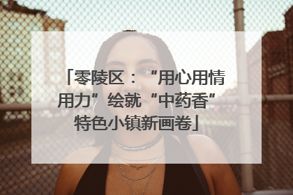 零陵区：“用心用情用力”绘就“中药香”特色小镇新画卷