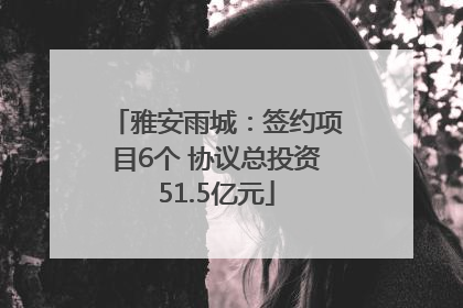 雅安雨城：签约项目6个 协议总投资51.5亿元