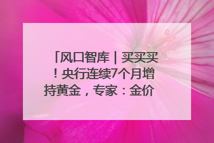 风口智库｜买买买！央行连续7个月增持黄金，专家：金价或仍易涨难跌