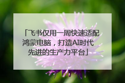 飞书仅用一周快速适配鸿蒙电脑，打造AI时代先进的生产力平台