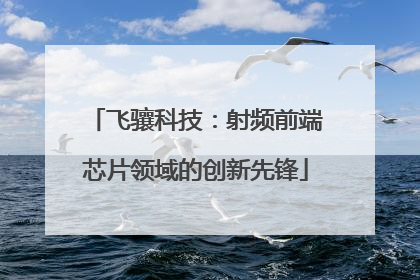 飞骧科技：射频前端芯片领域的创新先锋