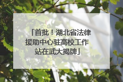 首批！湖北省法律援助中心驻高校工作站在武大揭牌