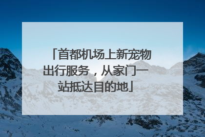 首都机场上新宠物出行服务，从家门一站抵达目的地