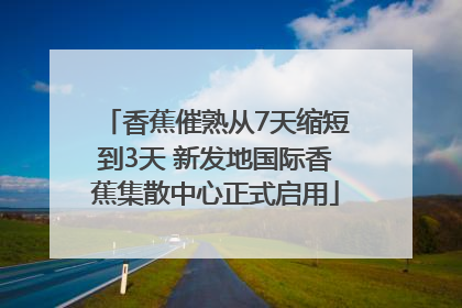 香蕉催熟从7天缩短到3天 新发地国际香蕉集散中心正式启用