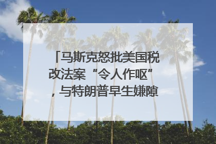 马斯克怒批美国税改法案“令人作呕”，与特朗普早生嫌隙？｜国际识局