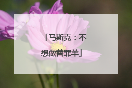 马斯克：不想做替罪羊
